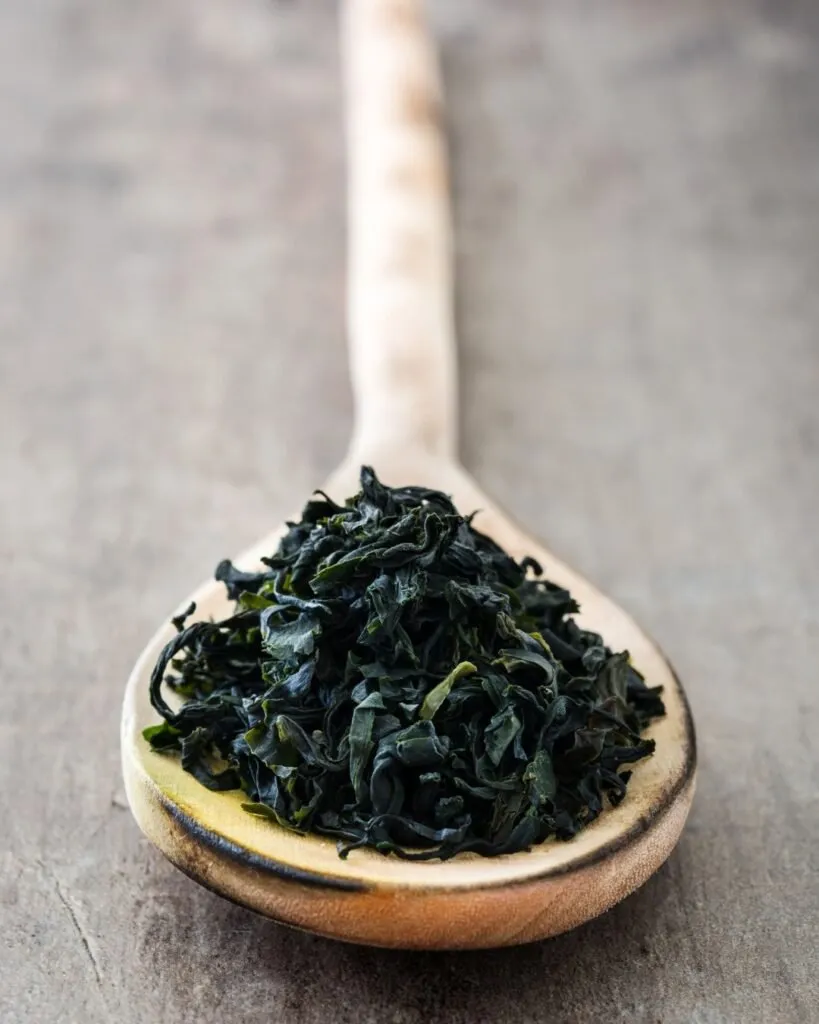 alga wakame
