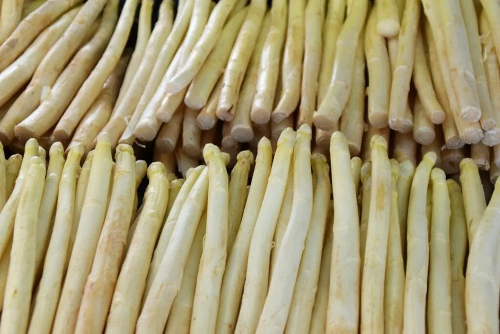 esparragos blancos