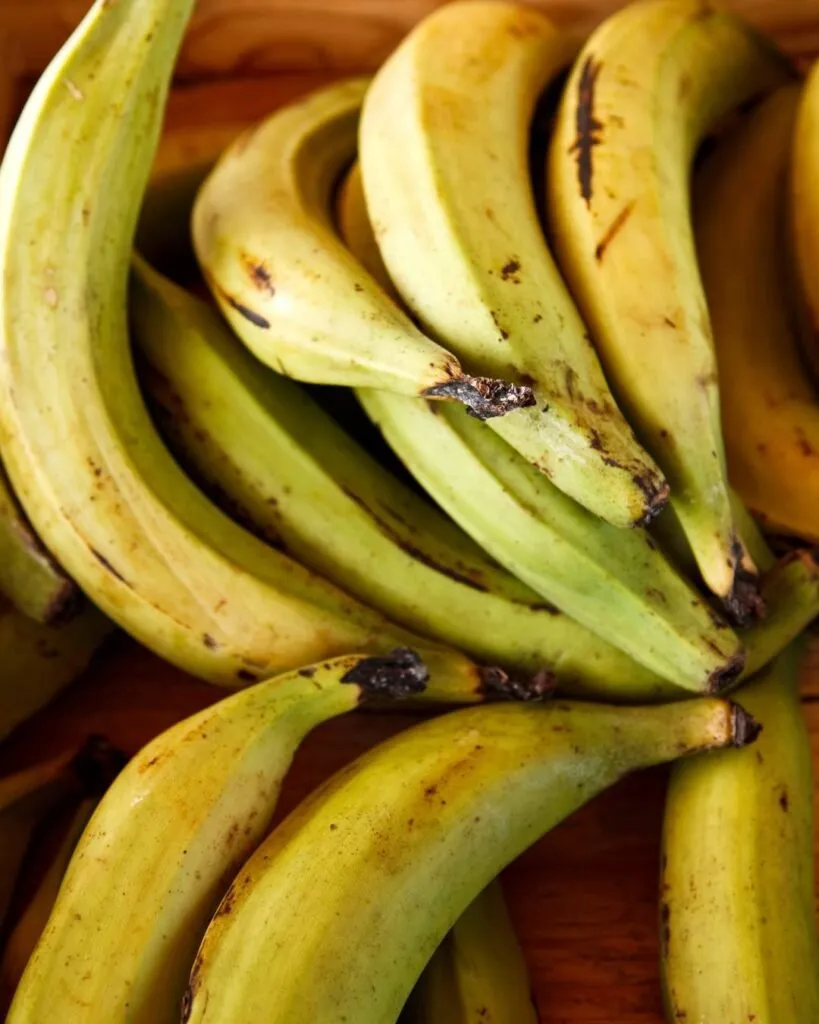 plátano macho