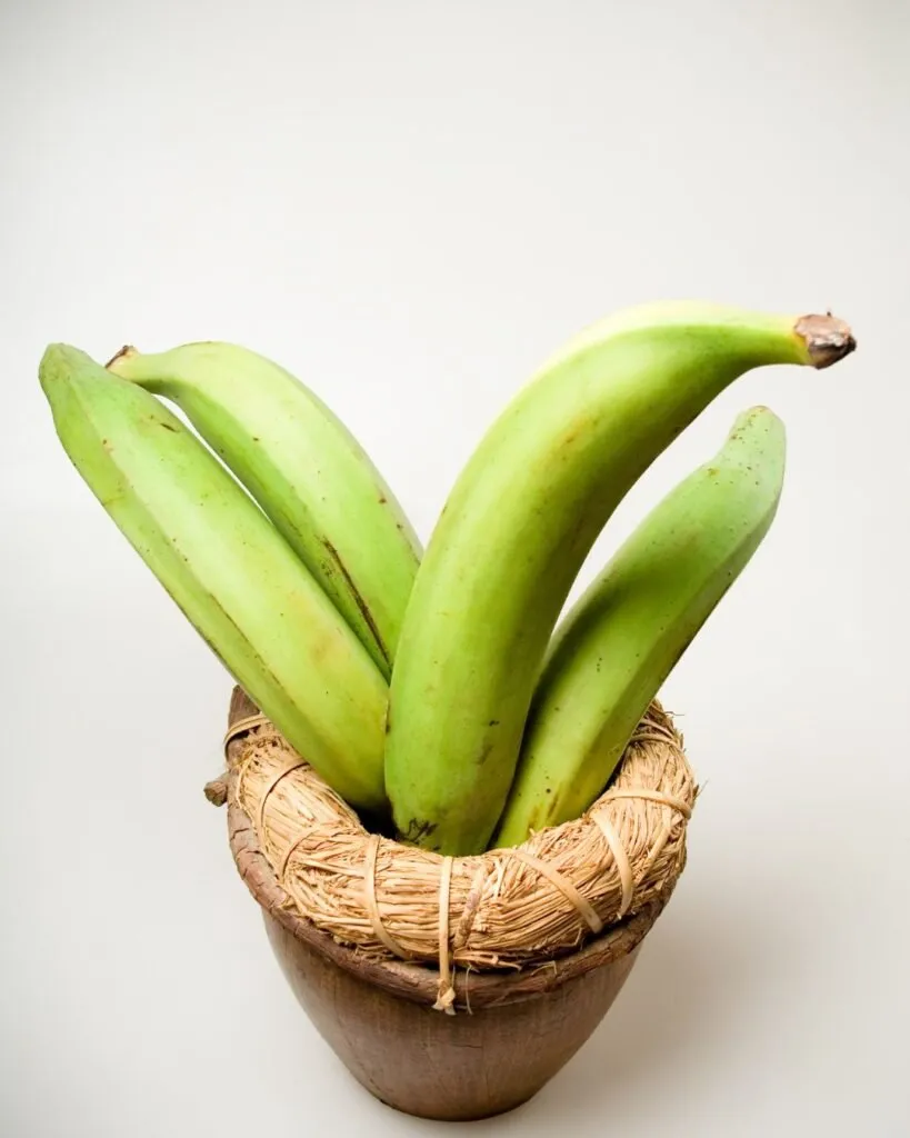 plátano macho