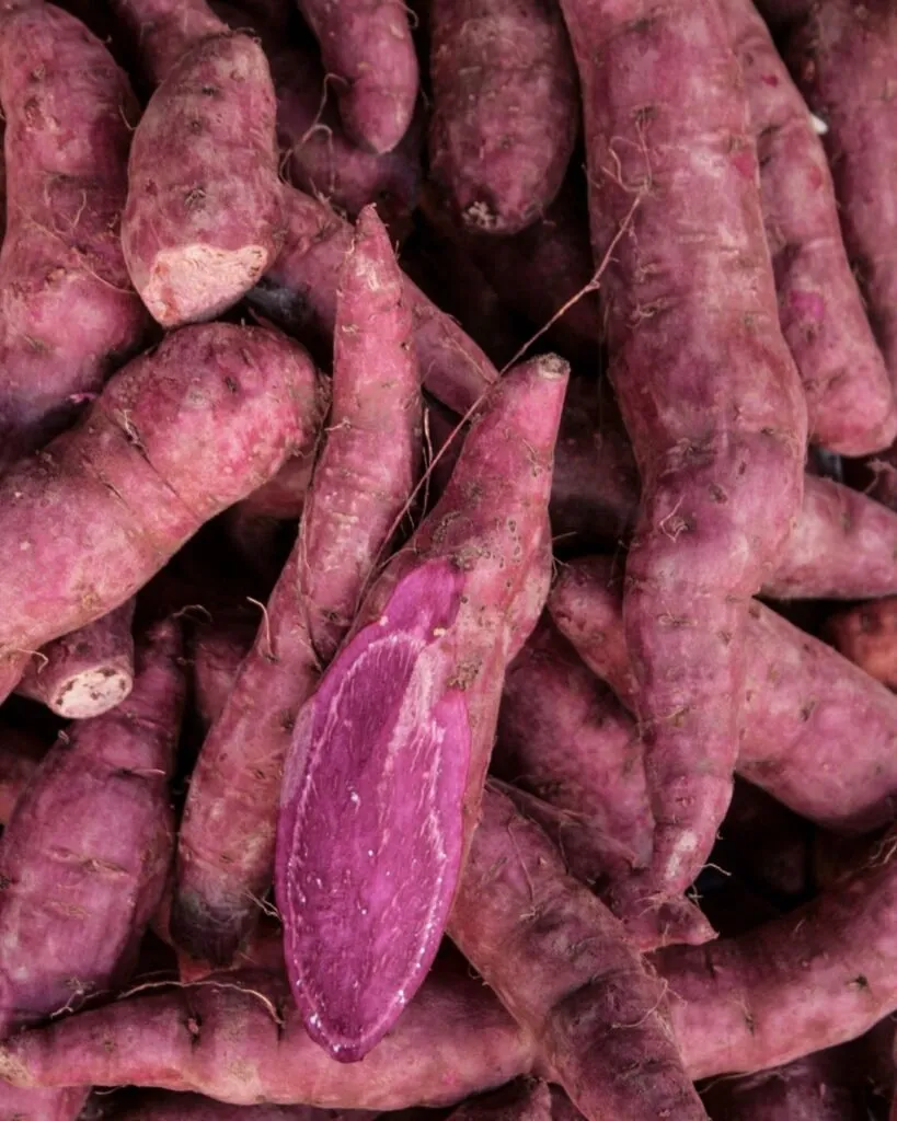 taro ocumo morado