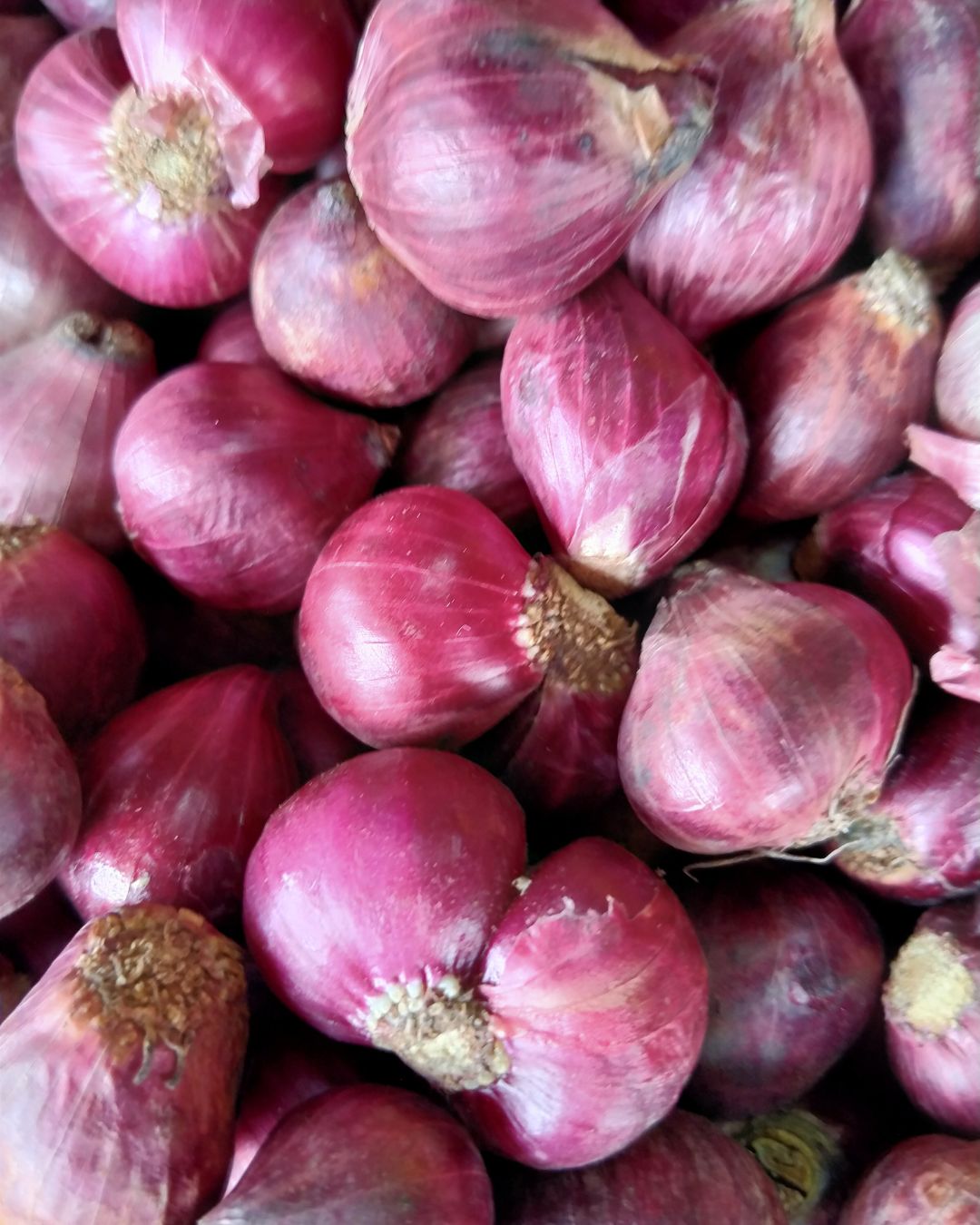 chalotas - chefbusiness